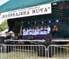 Festiwal Sztuki Lokalnej "Biłgorajska Nuta" - święto tradycji w Dylach